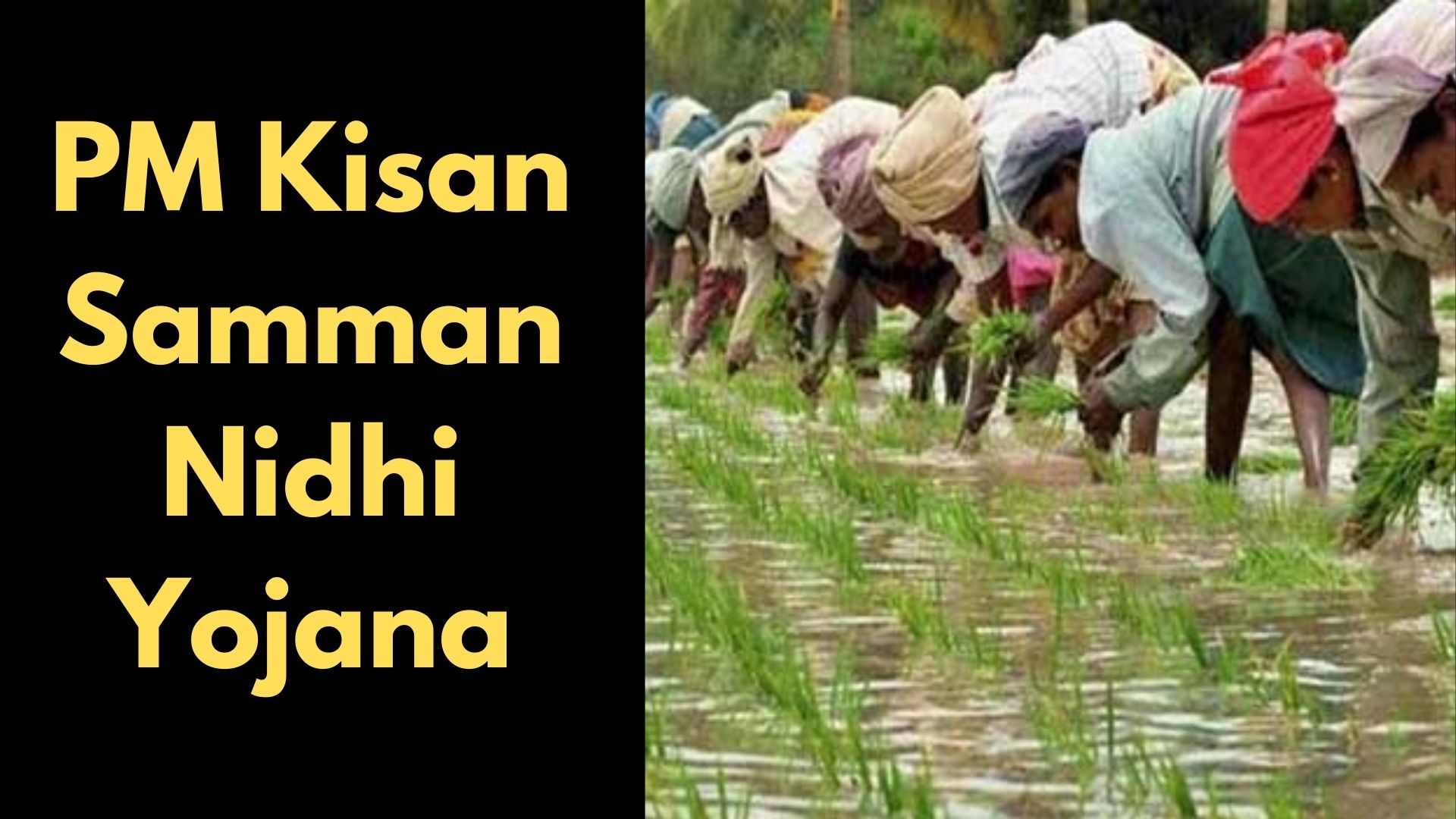 Know the facts about PM Kisan Samman Nidhi Yojana